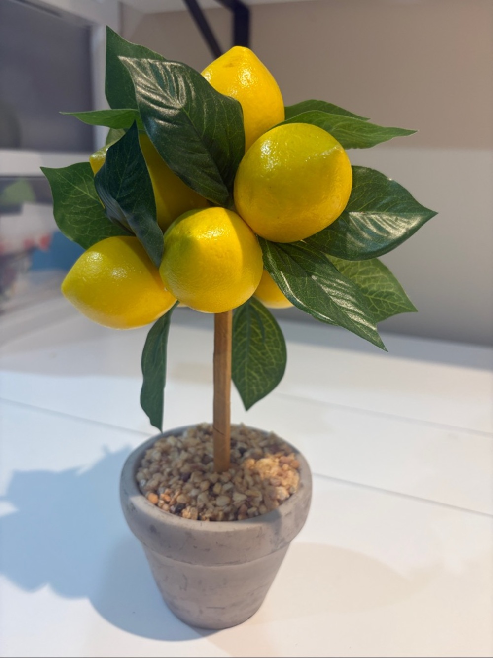 Yellow Lemon Topiary Plant in Ceramic Pot